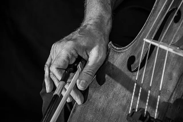 cello online, cello bow, strings