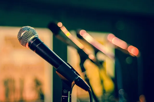 mic, microphone, vocal performance