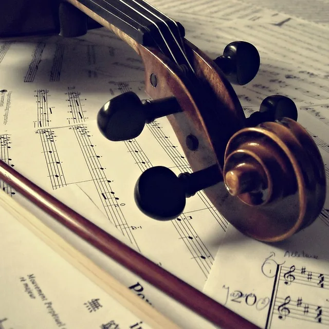 musical instrument, reading music, learning violin