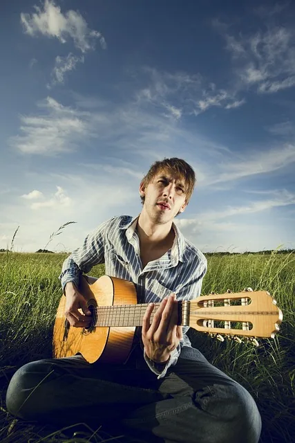 guitar, guitarist, musician