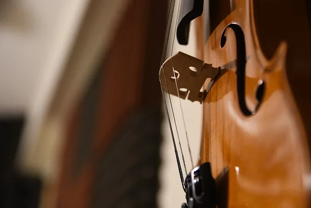 cello academy