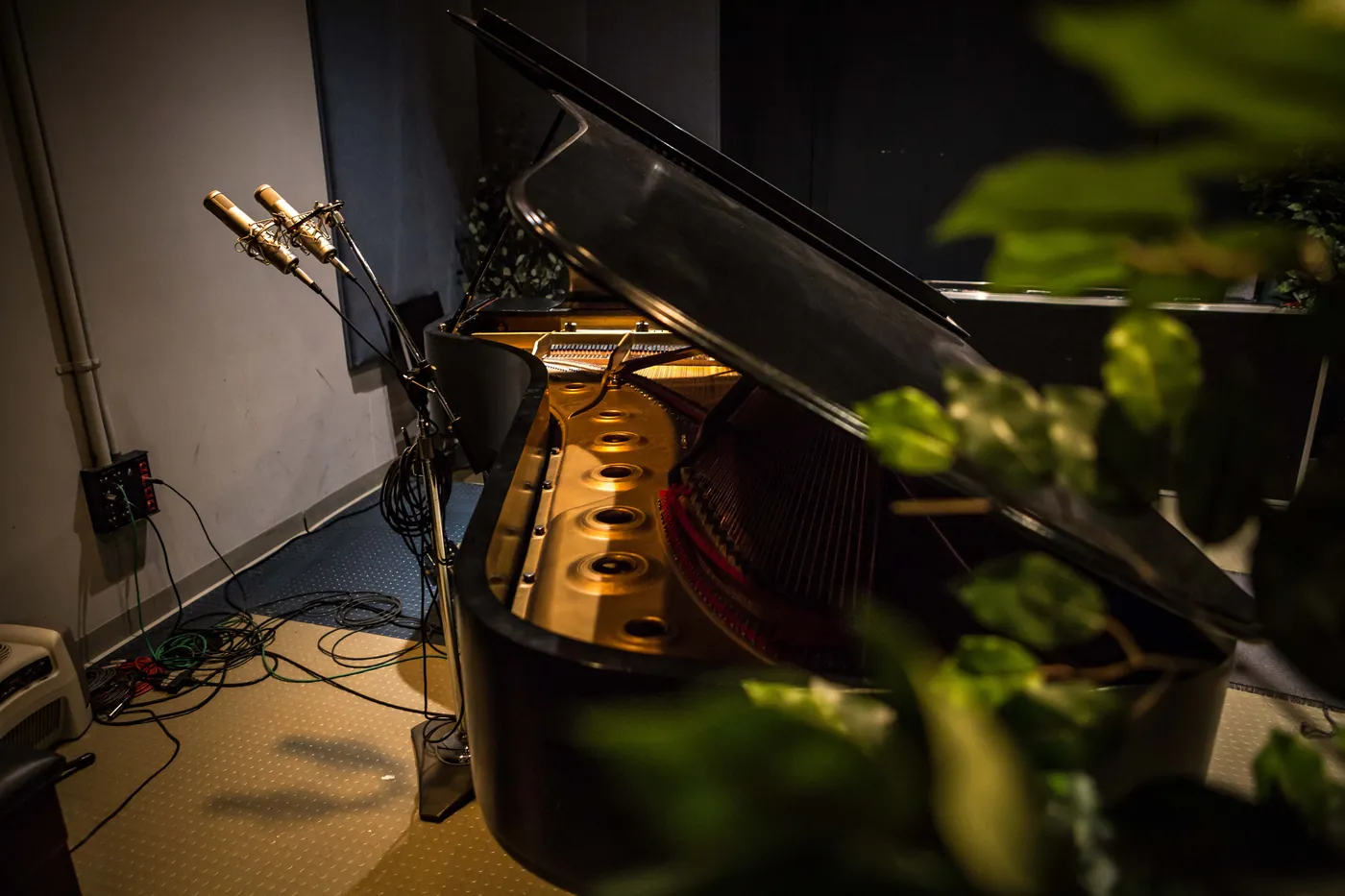 The piano area and microphones at the Music 4 Humans recording studio in southwest Denver