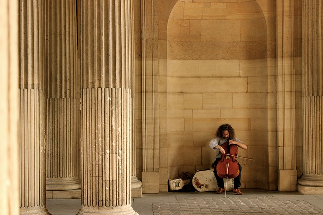paris, street artist, cello