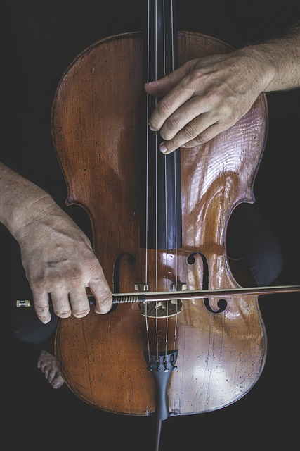 cello, Left-hand technique, Pitch, cello online