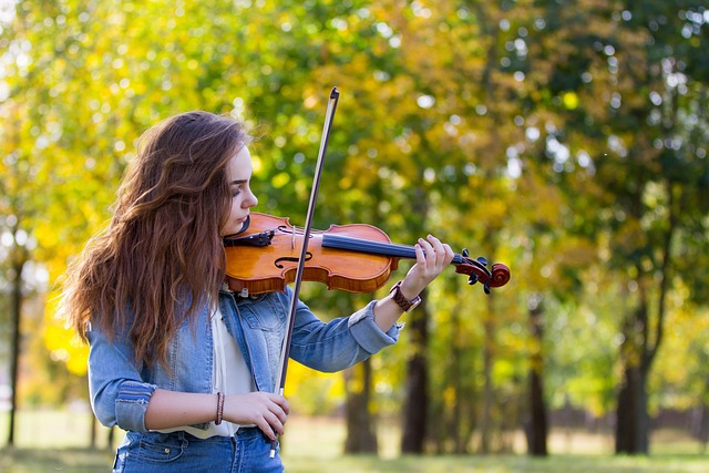 woman, violin, musician