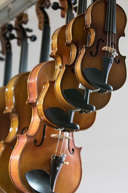 violin teacher, versatile instrument, cheap instrument