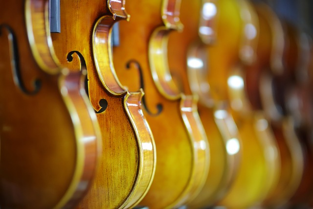 new instrument, shoulder rests, different violins
